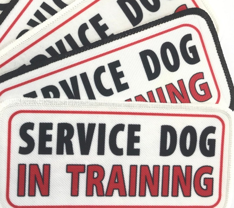 Service Dog In Training Patch Leash Wrap with VELCRO ® Brand Etsy