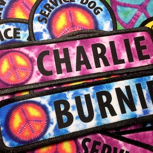 May include: Two tie-dye dog ID tags with black trim and white text. The top tag says "CHARLIE" and the bottom tag says "BURNIE".