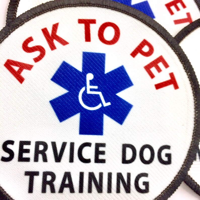 Service Dog In Training Patch made with VELCRO® Brand hook Etsy