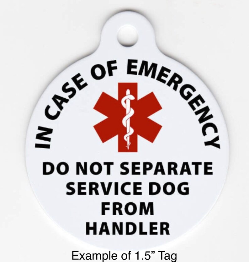 Custom GI Tag for Service Dog Lobster Clasp Clip on Collar Etsy