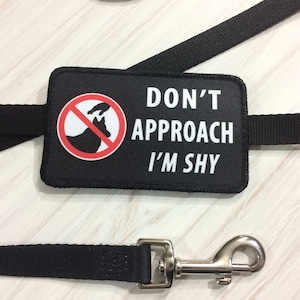 May include: Black dog leash with a black patch that says "DON'T APPROACH I'M SHY" with a red circle and a hand reaching towards a dog with a line through it.