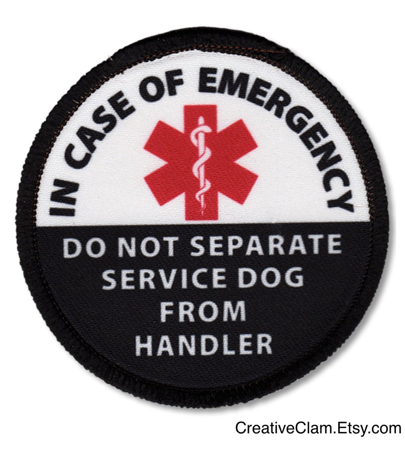 Custom GI Tag for Service Dog Lobster Clasp Clip on Collar Etsy