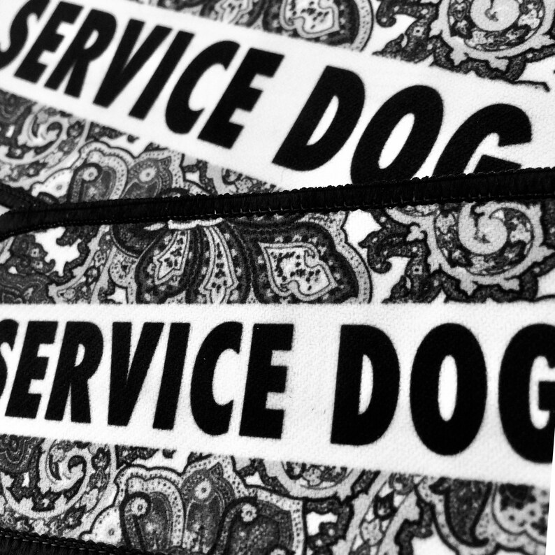 Service Dog Patch Custom Pet Name Patch Vest Harness Cape Etsy