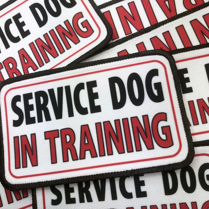 Service Dog in Training Patch Vest Harness Cape Patches Etsy