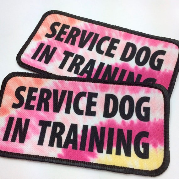 dog leash