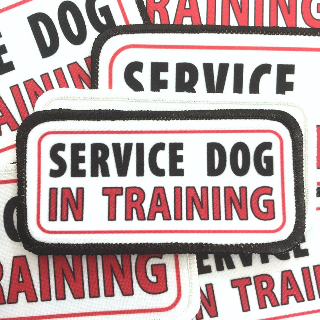 Service Dog in Training Patch Vest Harness Cape Backpack Etsy