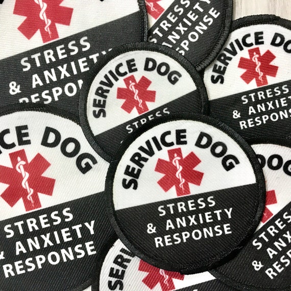 Where Can I Get A Service Dog For Anxiety