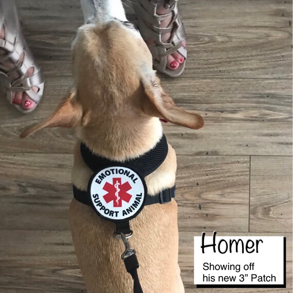 emotional support dog velcro patches