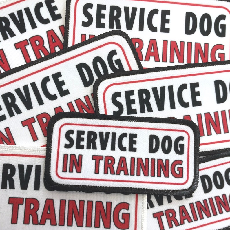 Service Dog in Training Patch Vest Harness Cape Backpack Etsy