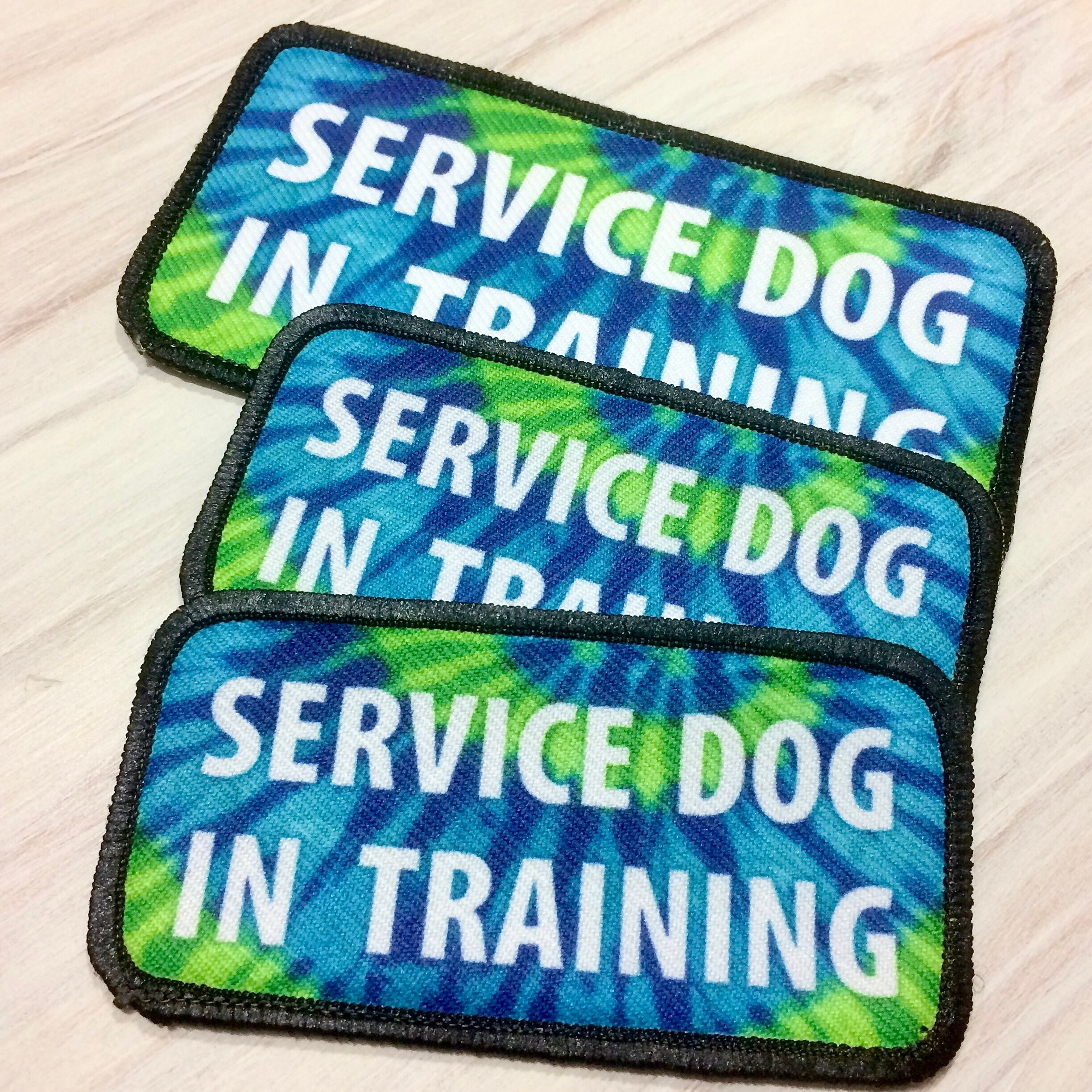 dog in training patch