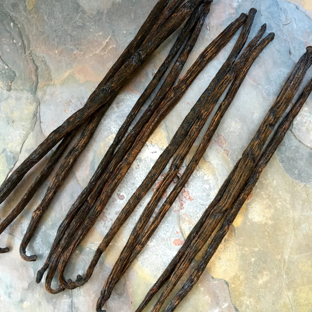 Whole Large Vanilla Bean Pods Grades A and B Etsy