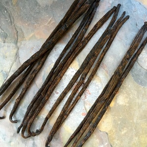 Whole Large Vanilla Bean Pods Grades A and B