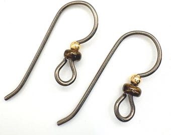 Two Pairs Niobium Fish Hook Tierra Cast Ear Wires