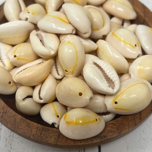 Natural Cowrie Shells, Drilled Shell Beads, Soft White with Yellow, Orange Accents; Qty 50