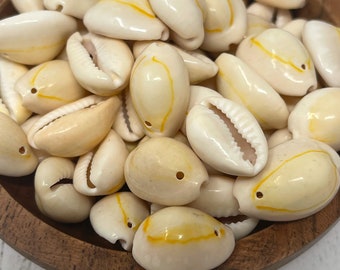 Natural Cowrie Shells, Drilled Shell Beads, Soft White with Yellow, Orange Accents; Qty 50