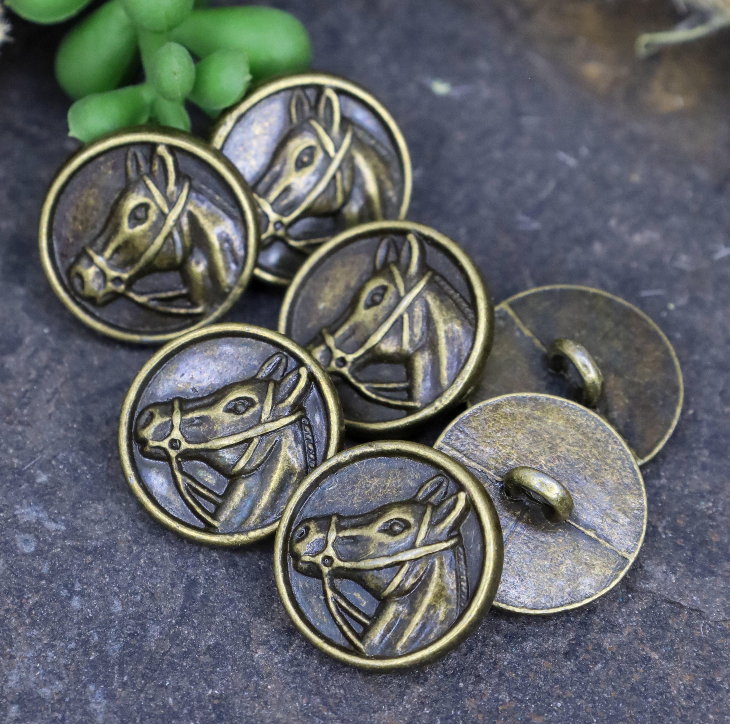 Equestrian Button - Round Bronze Buttons With Horse Motif - Shank ...