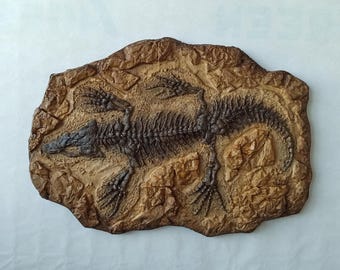 Könnte beinhalten: Ein versteinerter Skelett eines prähistorischen Wasserwesens, eingebettet in einen braunen Stein. Das Fossil ist detailliert und zeigt die Knochen des Körpers, des Kopfes und des Schwanzes des Wesens.