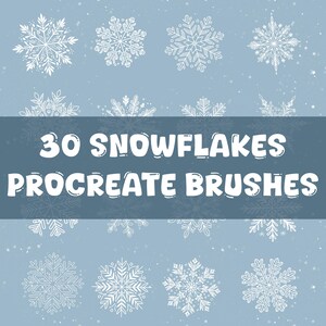 May include: A set of 30 snowflake Procreate brushes. The image shows a variety of snowflake designs, all in white against a light blue background.