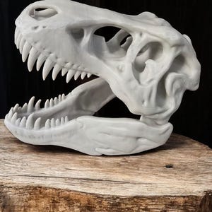 May include: A white 3D printed dinosaur skull with an open jaw, showing sharp teeth. The skull is sitting on a wooden stump.