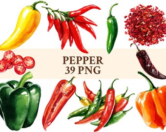 Pepper PNG Bundle | 39 Watercolor Clipart Images | Jalapeno, Serrano, Habanero & Cayenne Food Art