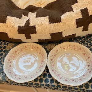May include: Two round ceramic plates with scalloped edges, featuring a white base color and a delicate pattern of small pink rosebuds and green vines arranged in a floral garland design around the inner rim of each plate.