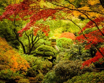 Autumn Photography Fall Colors Photo Japanese Shrine Red Maple Autumn Colors Garden Photograph Red Leaves nat93