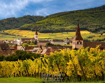 France Photography, Alsace Vineyard Village Landscape Photo Decor Wall Art Home Decor Fine Art Print fra20