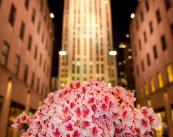 30 Rock Photo New York City Photo nycPhotography Flower Photograph Manhattan Rockefeller Center Femnine Art nyc12