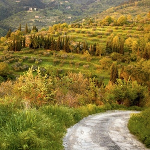 Tuscany Photo, Italy Landscape Road Spring Umbria Italian Countryside Wall Art Home Decor Fine Art Print ita21
