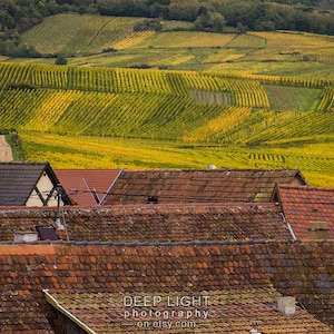 France Photography, Alsace Village Vineyard Landscape Photo Decor Wall Art Home Decor Fine Art Print fra16 image 1
