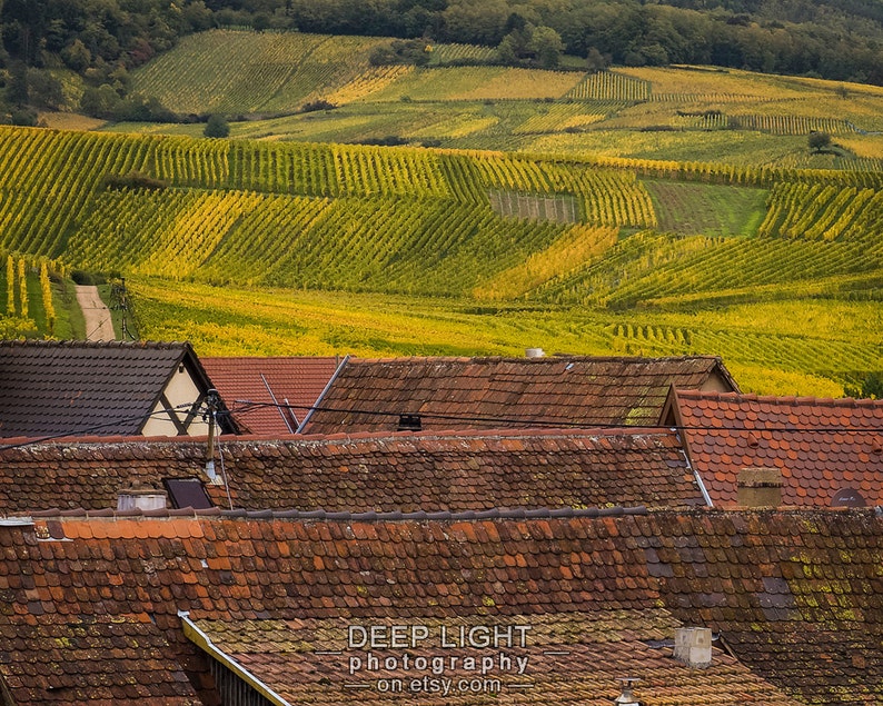 France Photography, Alsace Village Vineyard Landscape Photo Decor Wall Art Home Decor Fine Art Print fra16 image 1