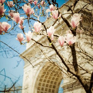 New York Photo, Spring Flowers, nyc Photograph City Print New York City Washington Square Park Arch Wall Art nyc53