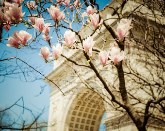 New York Photo, Spring Flowers, nyc Photograph City Print New York City Washington Square Park Arch Wall Art nyc53