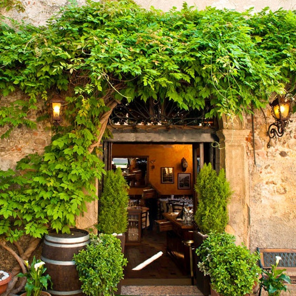 Italy Photography, Cafe Photograph Garden Photo Trattoria Restaurant Rome Venice Florence Village Wall Art ita28