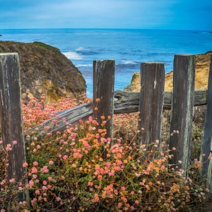 Big Sur Photography, Ocean Photo California Coast Photo Weathered Fence Seascape Wall Art Home Decor nat131