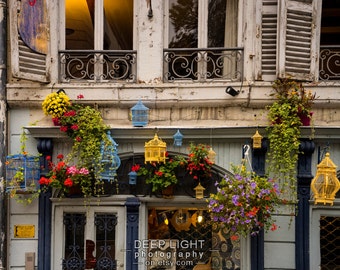 Photograph of Painted Bird Cages France Photo Shop Street Scene Colmar Alsace Shabby Chic Fine Art Print fra1