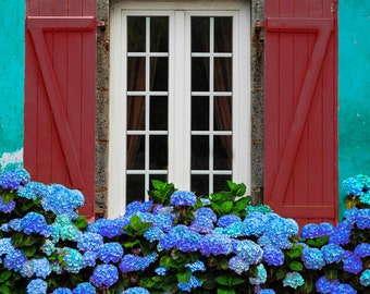 Paris Photograph Flower Photography Window Apartment House Building Red Blue Photo France Print Red Wall Art par92