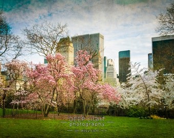 Spring in New York City Photo, Cherry Trees, Nyc Photograph, Central Park Art, Pink White Green, Wall Art nyc85