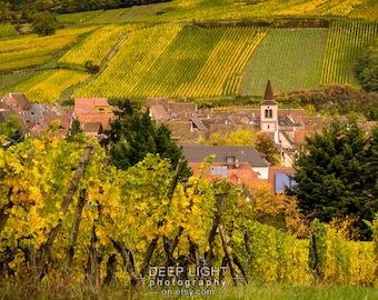 France Photography, Alsace Vineyard Photo Decor Wall Art Village Landscape Home Decor Fine Art Print fra21