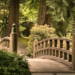 Japanese Garden Photograph Nature Photo Zen Buddhism Quiet Art Calm Peaceful Wooden Bridge Wall Art oth1 image 1