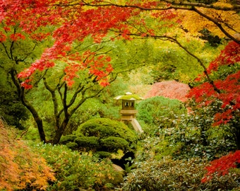 Autumn Photography Fall Colors Photo Red Maple Japanese Shrine Garden Photograph Autumn Colors Red Leaves nat92