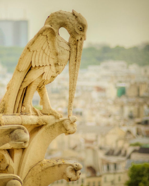 download gargoyle quasimodo download gargoyle quasimodo