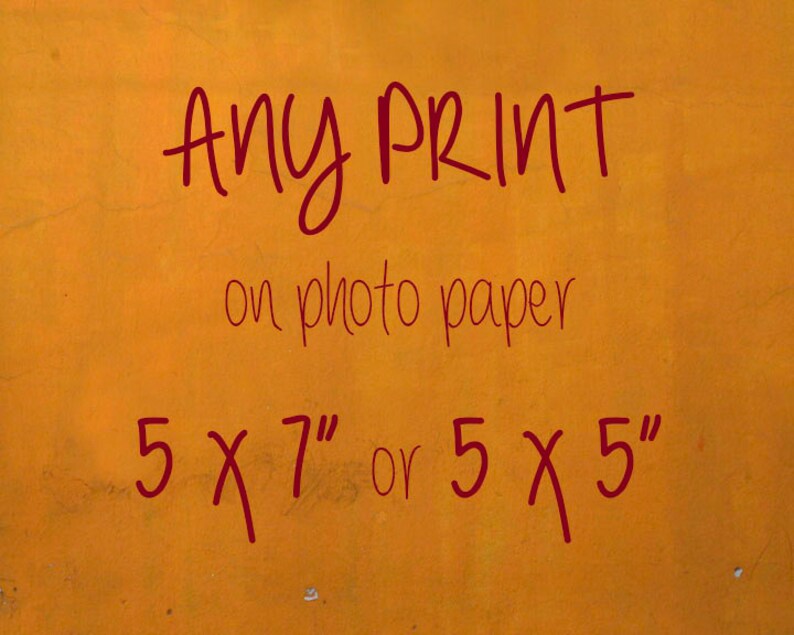Resize Your Order to 5x7 or 5x5 paper Print Etsy