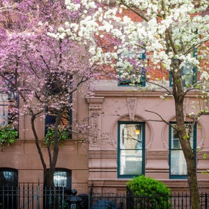 New York Greenwich Village Photograph nyc Photo Brick Building Vintage Spring Dreamy City Apartment nyc54 image 1