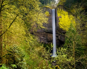 Waterfall Photo, Spring Photograph, Springtime Forest Trees Green Yellow Leaves Landscape nat106