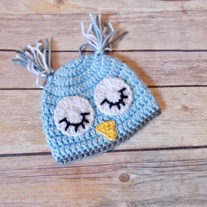Baby Owl Hat, Newborn Animal Hat, Custom Baby Beanie, Knit Preemie Hat