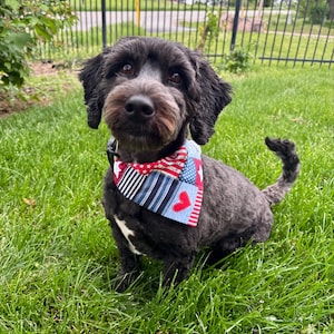 Animal Bandana - Over the Collar Loop