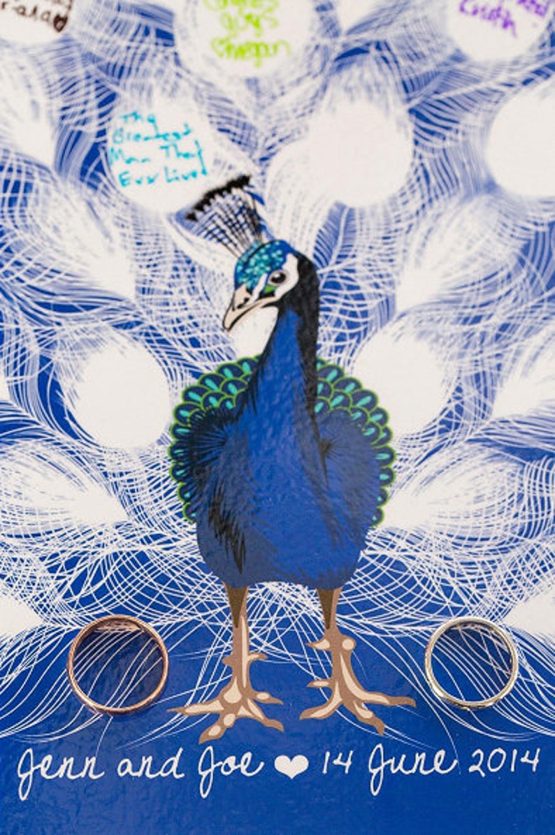 close up of a peacock with wedding rings either side and guests messages inside the peacock feathers