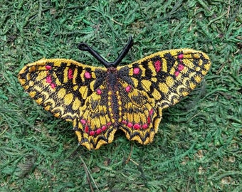 3D embroidered Spanish Festoon butterfly moth  custom ooak