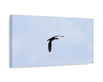 Bird in Flight Nature Photo Canvas Wall Art